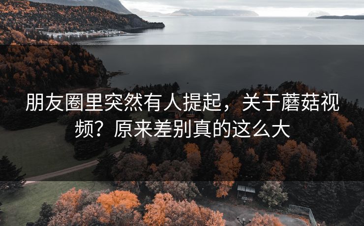 朋友圈里突然有人提起，关于蘑菇视频？原来差别真的这么大