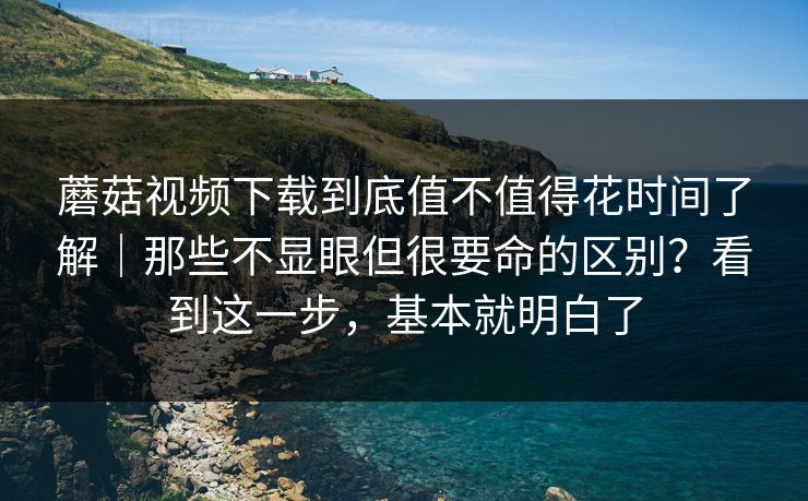 蘑菇视频下载到底值不值得花时间了解｜那些不显眼但很要命的区别？看到这一步，基本就明白了
