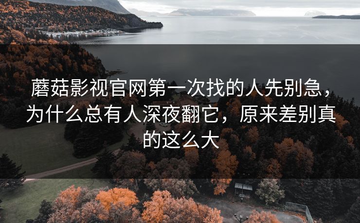蘑菇影视官网第一次找的人先别急，为什么总有人深夜翻它，原来差别真的这么大