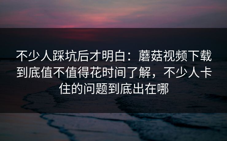 不少人踩坑后才明白：蘑菇视频下载到底值不值得花时间了解，不少人卡住的问题到底出在哪