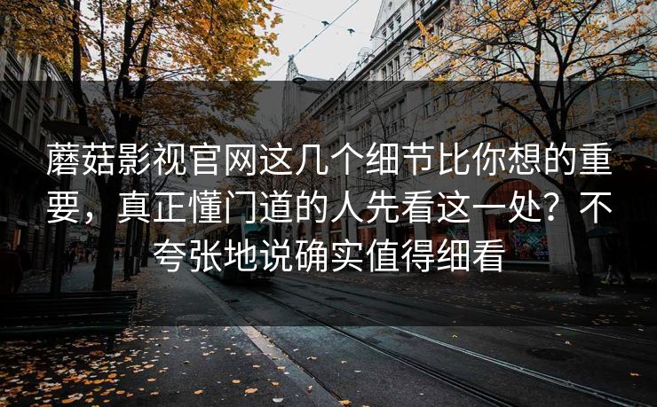 蘑菇影视官网这几个细节比你想的重要，真正懂门道的人先看这一处？不夸张地说确实值得细看