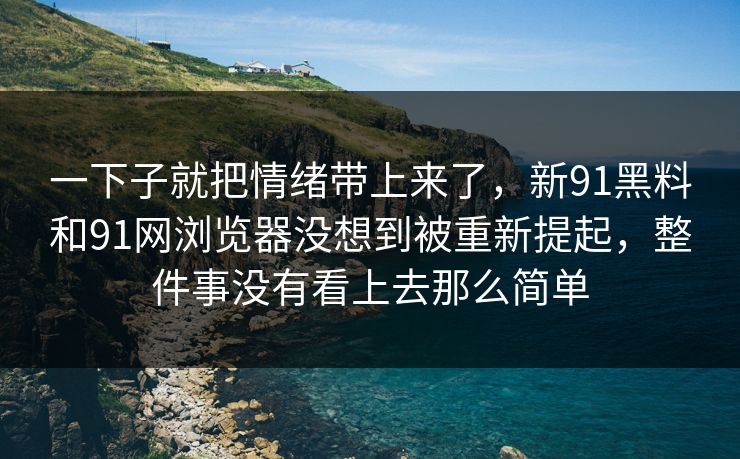 一下子就把情绪带上来了，新91黑料和91网浏览器没想到被重新提起，整件事没有看上去那么简单