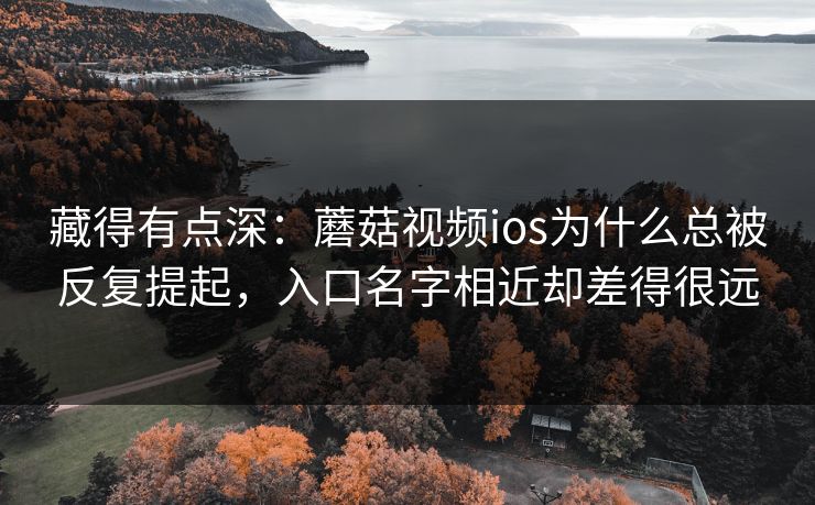 藏得有点深：蘑菇视频ios为什么总被反复提起，入口名字相近却差得很远