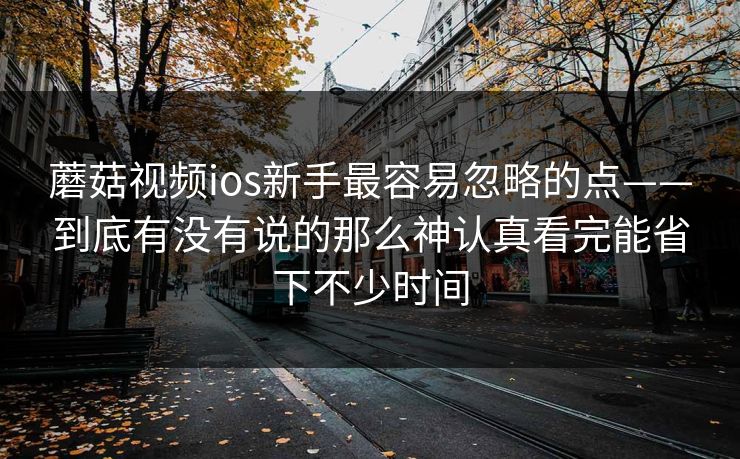 蘑菇视频ios新手最容易忽略的点——到底有没有说的那么神认真看完能省下不少时间