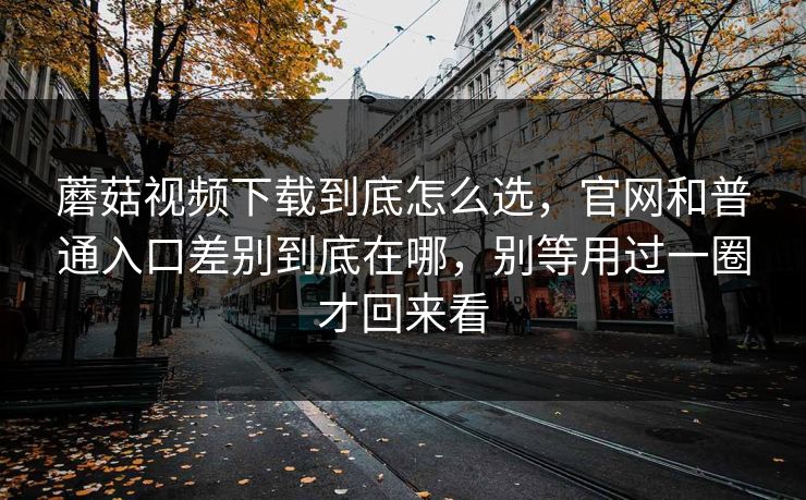 蘑菇视频下载到底怎么选，官网和普通入口差别到底在哪，别等用过一圈才回来看